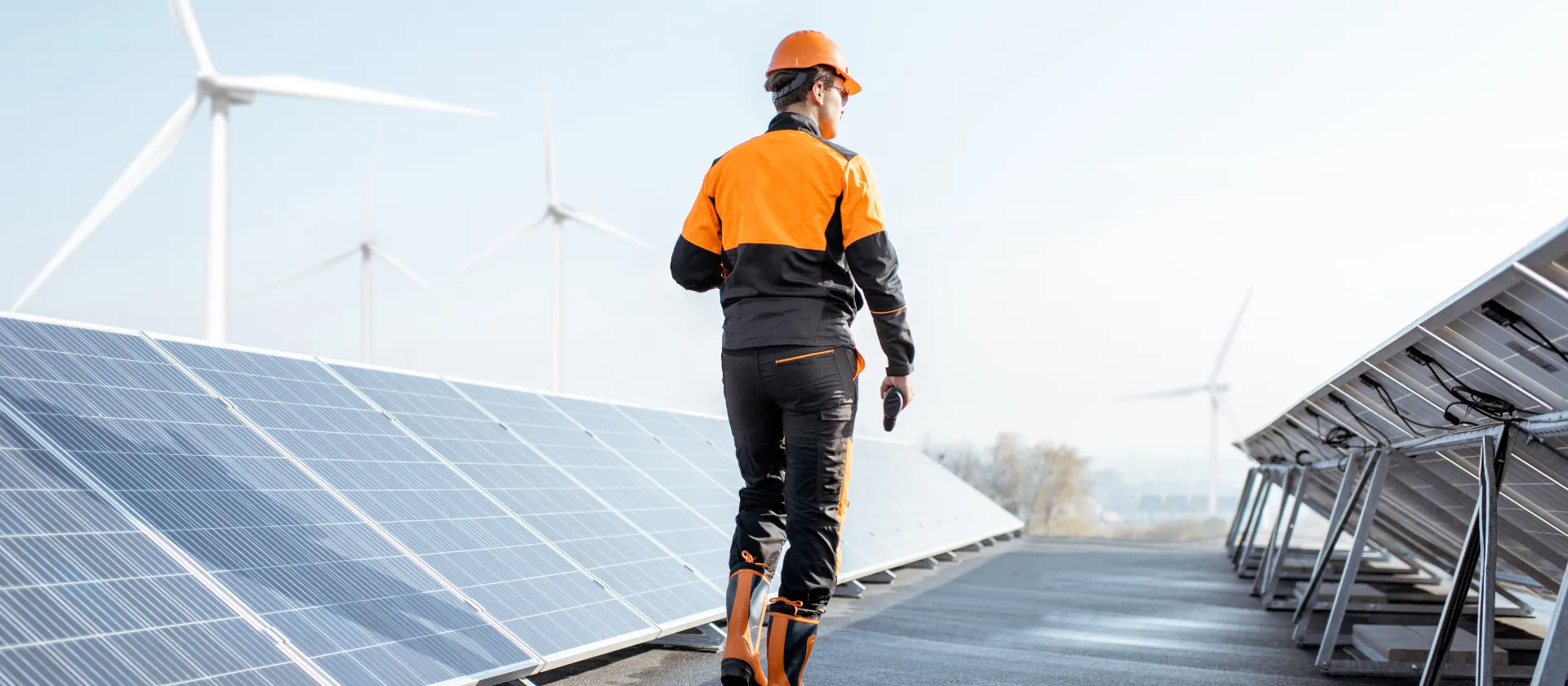 AdobeStock_301708315_bearb