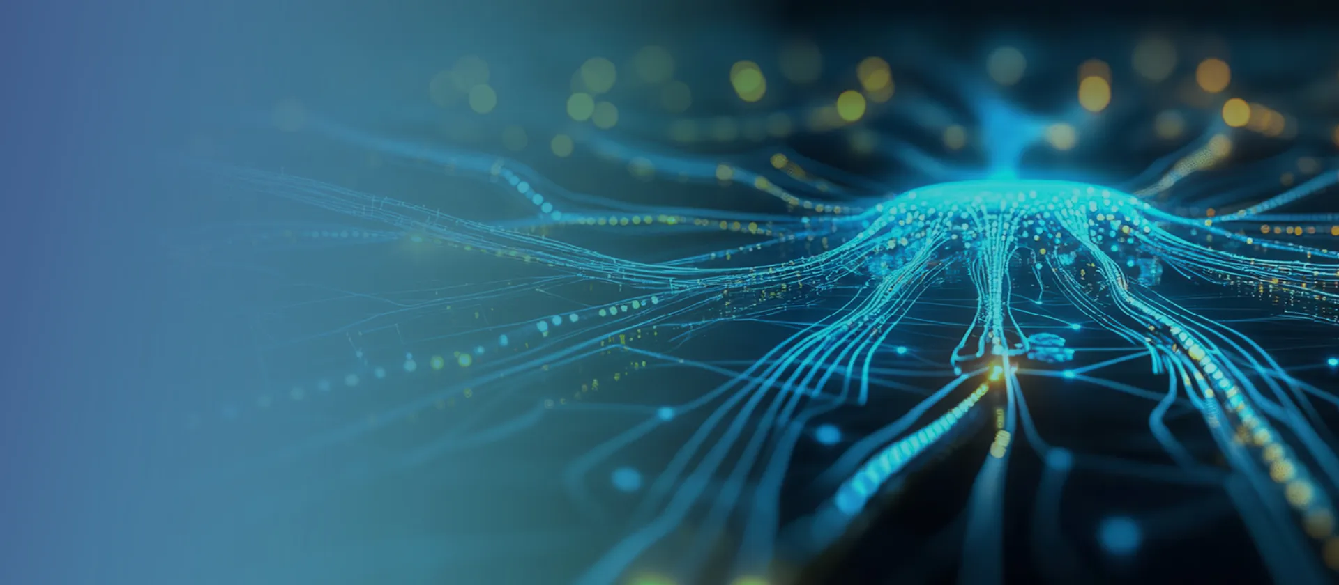 20250520_msg_mobility advisors_webheader_ Mobilitätsökosystem