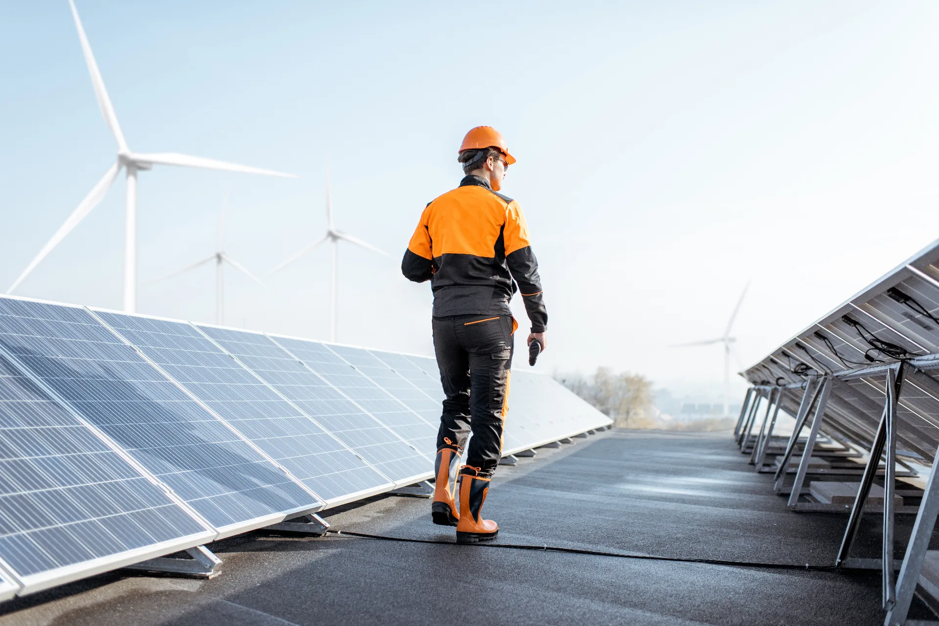 AdobeStock_301708315_bearb